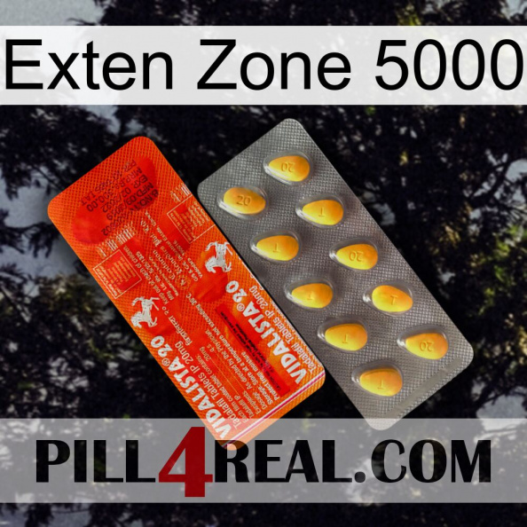 Exten Zone 5000 new01